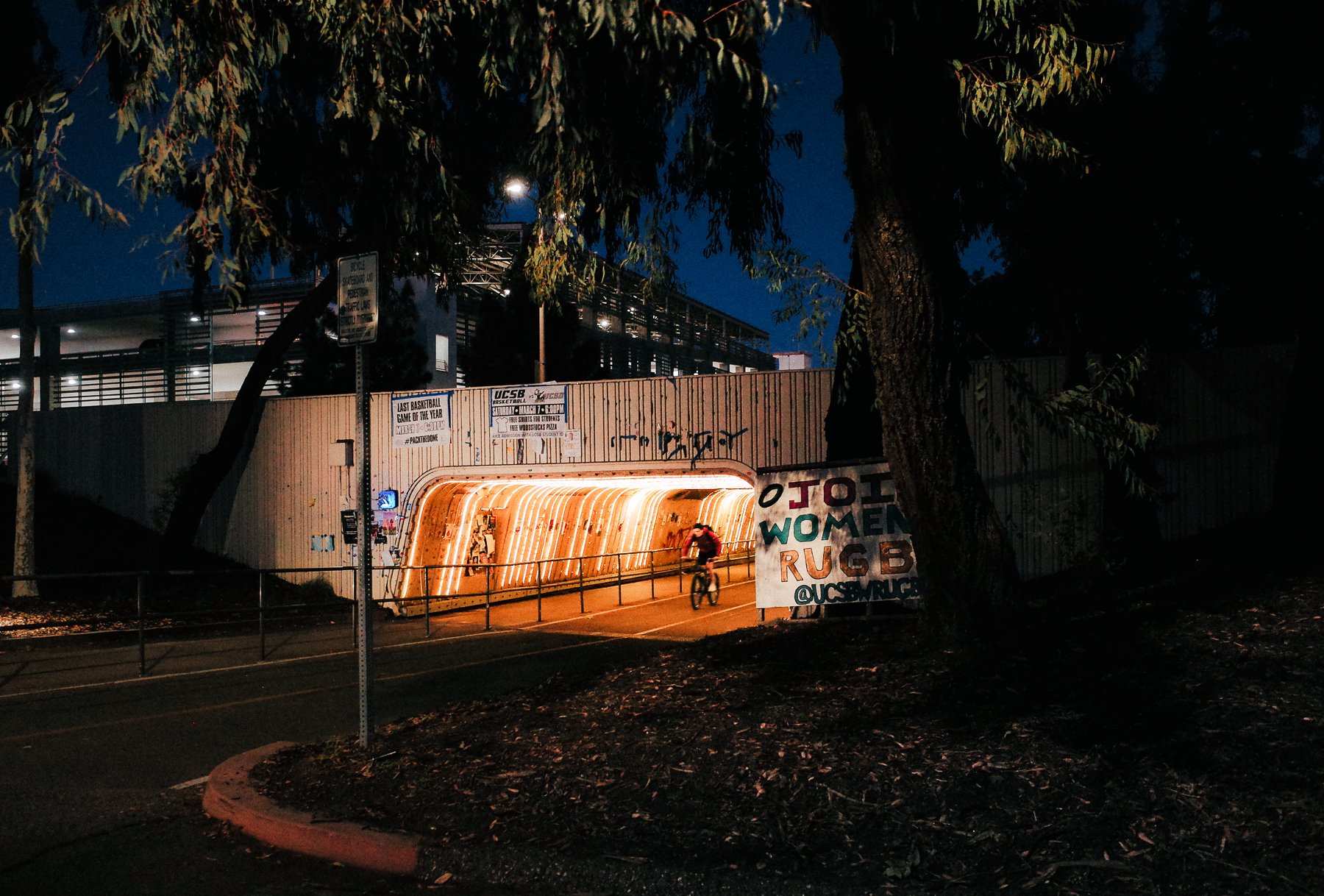 A cyclist passing an illuminated, graffiti-covered underpass beneath a large tree at night.