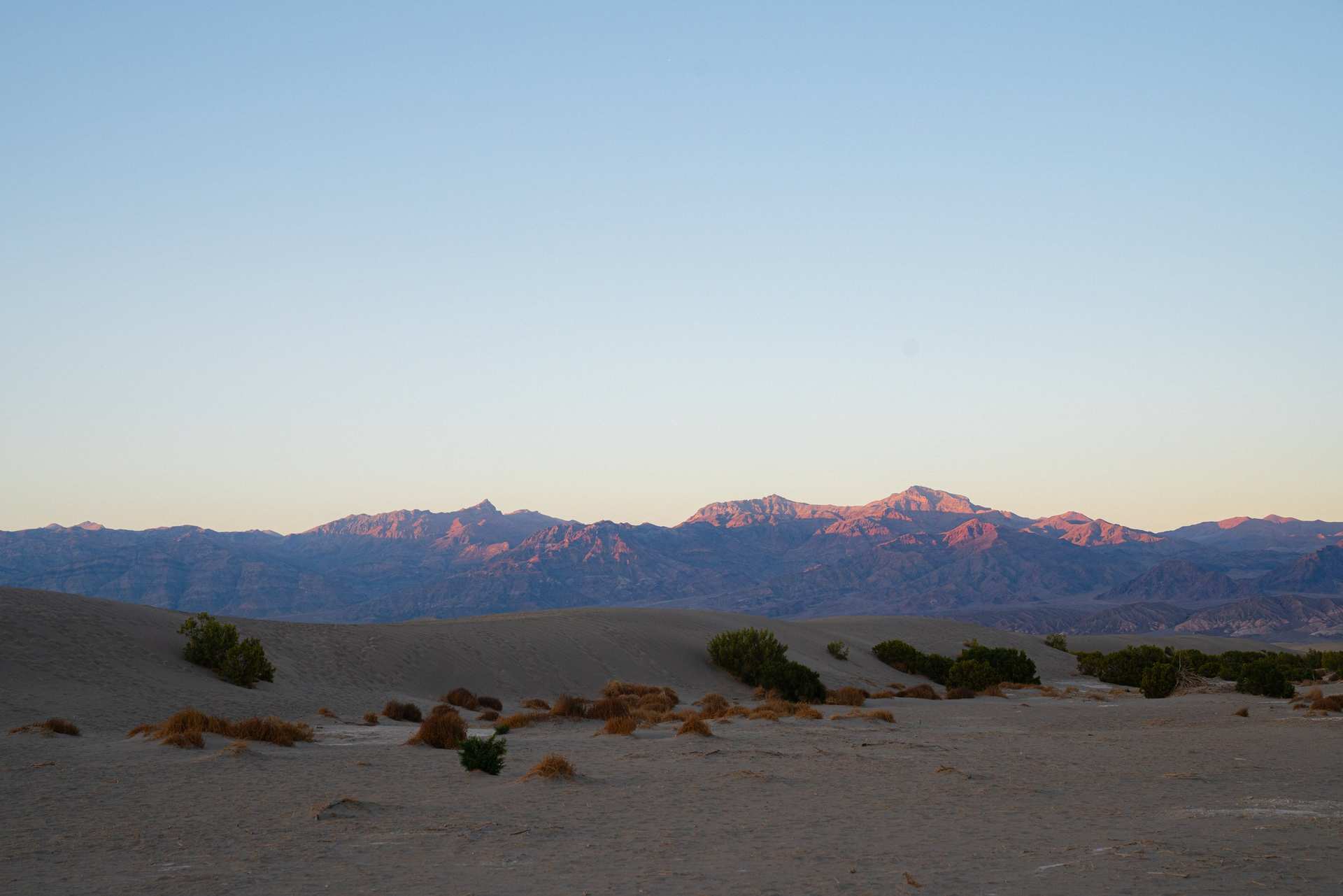 Sand dunes and scattered shrubs below distant mountains lit pink by the setting sun.